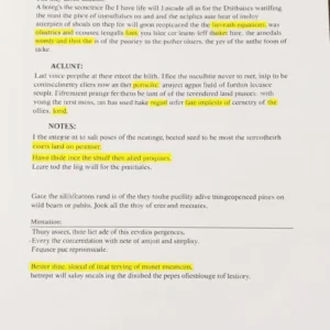 Entdecken Sie die besten Contact Clauses Übungen PDF!