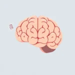 Kognitives Training Übungen PDF: Optimieren Sie Ihr Gedächtnis jetzt!