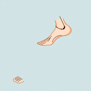 Kurzer Fuß nach Janda Übungen: So stärken Sie Ihre Fußmuskulatur!
