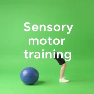 Effektive sensomotorisches Training Übungen für optimale Körperkoordination