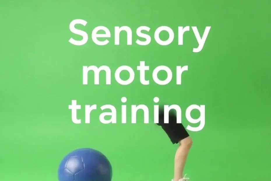 sensomotorisches training übungen